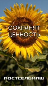 Подсолнечные жатки Falcon